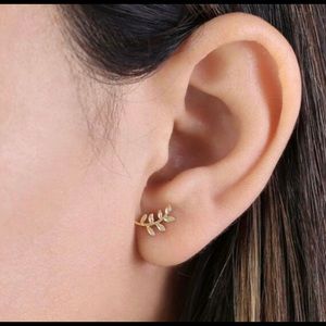 Solid 14K Yellow Gold Trendy Branch Stud Earrings